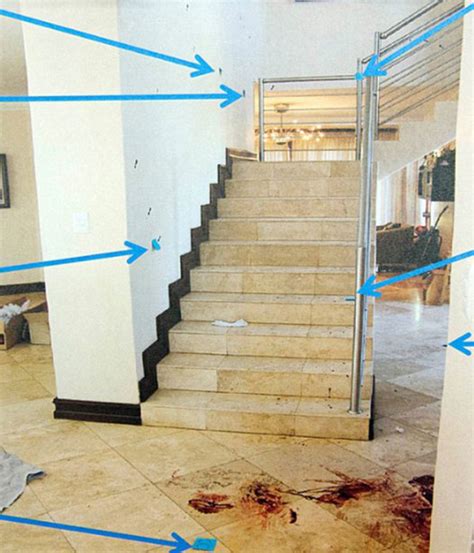 Reeva Steenkamp Dead Body Crime Scene Photos